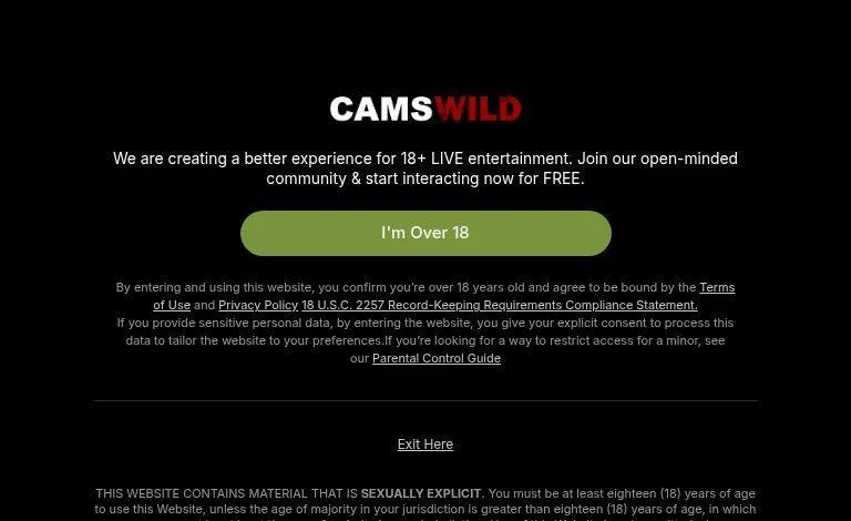 How to Get More Views on Pornwild: Essential Tips for Beginners
