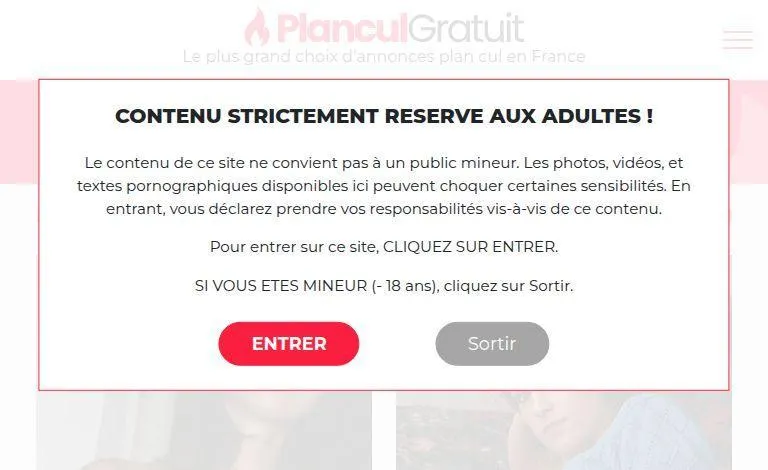 Plancul-gratuit.fr Review: How SEO Blogs Drive Targeted Traffic to Your Site